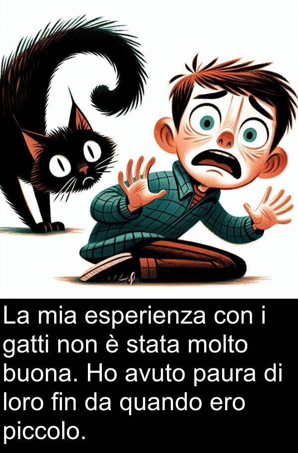 gatti: La mia esperienza con i gatti non è stata molto buona. Ho avuto paura di loro fin da quando ero piccolo.