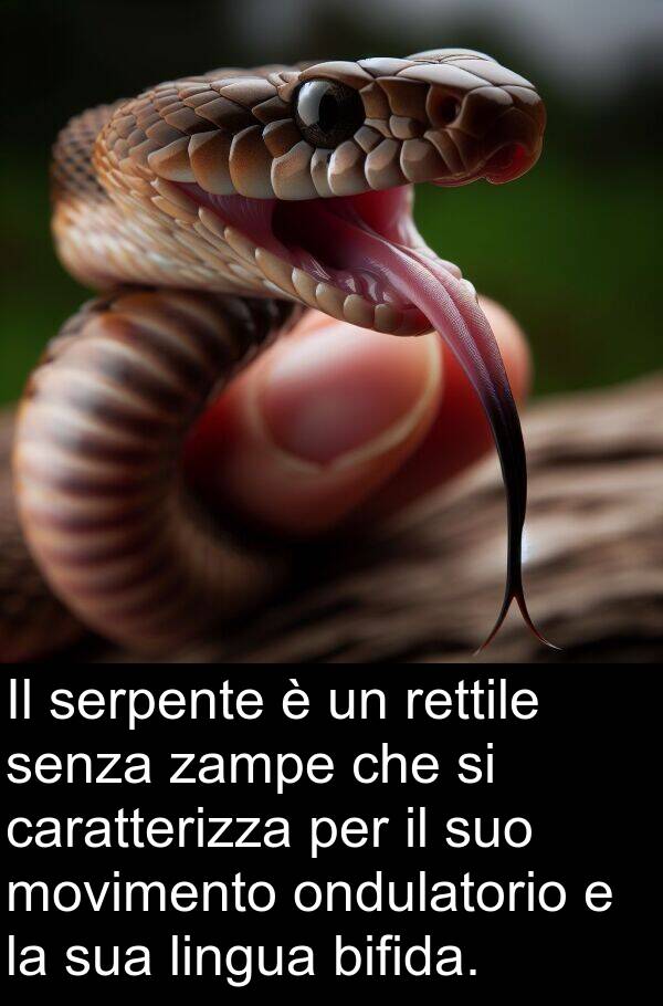 lingua: Il serpente è un rettile senza zampe che si caratterizza per il suo movimento ondulatorio e la sua lingua bifida.