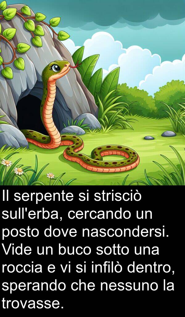 sotto: Il serpente si strisciò sull'erba, cercando un posto dove nascondersi. Vide un buco sotto una roccia e vi si infilò dentro, sperando che nessuno la trovasse.