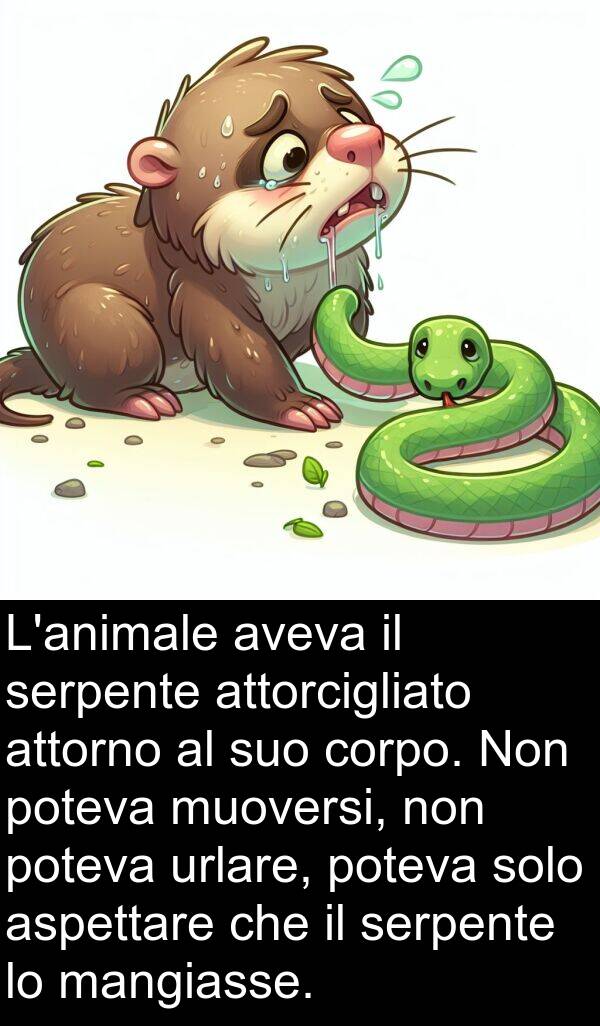 urlare: L'animale aveva il serpente attorcigliato attorno al suo corpo. Non poteva muoversi, non poteva urlare, poteva solo aspettare che il serpente lo mangiasse.