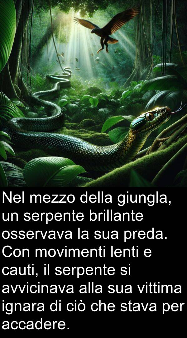 accadere: Nel mezzo della giungla, un serpente brillante osservava la sua preda. Con movimenti lenti e cauti, il serpente si avvicinava alla sua vittima ignara di ciò che stava per accadere.