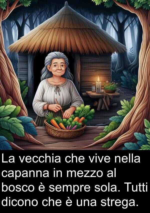 strega: La vecchia che vive nella capanna in mezzo al bosco è sempre sola. Tutti dicono che è una strega.