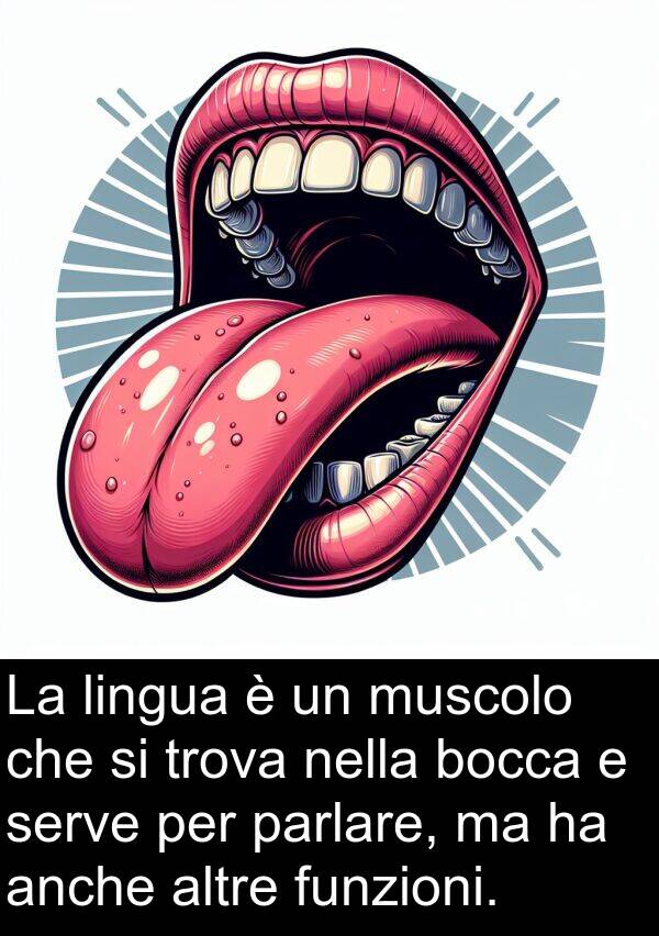 anche: La lingua è un muscolo che si trova nella bocca e serve per parlare, ma ha anche altre funzioni.