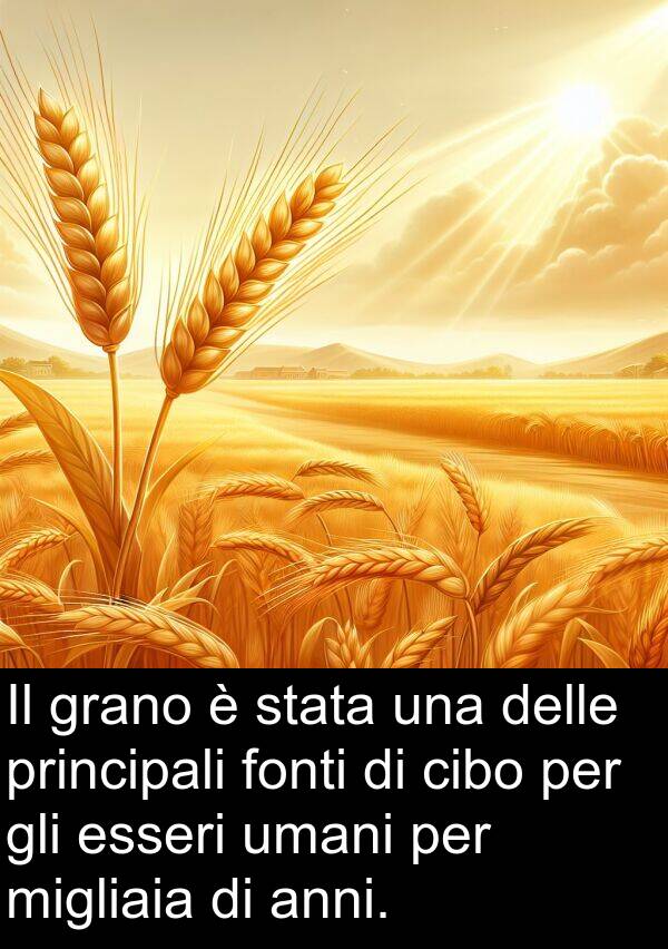 anni: Il grano è stata una delle principali fonti di cibo per gli esseri umani per migliaia di anni.