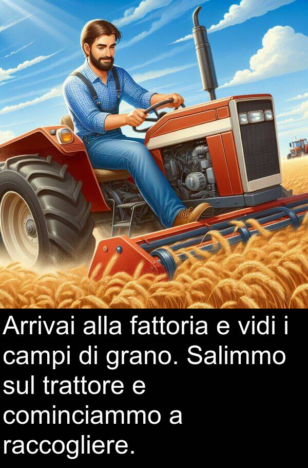 raccogliere: Arrivai alla fattoria e vidi i campi di grano. Salimmo sul trattore e cominciammo a raccogliere.