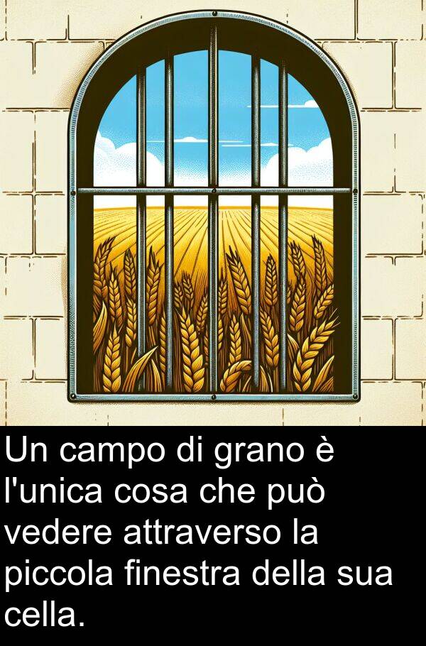 vedere: Un campo di grano è l'unica cosa che può vedere attraverso la piccola finestra della sua cella.