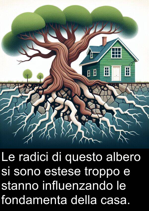 troppo: Le radici di questo albero si sono estese troppo e stanno influenzando le fondamenta della casa.