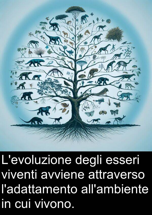 avviene: L'evoluzione degli esseri viventi avviene attraverso l'adattamento all'ambiente in cui vivono.