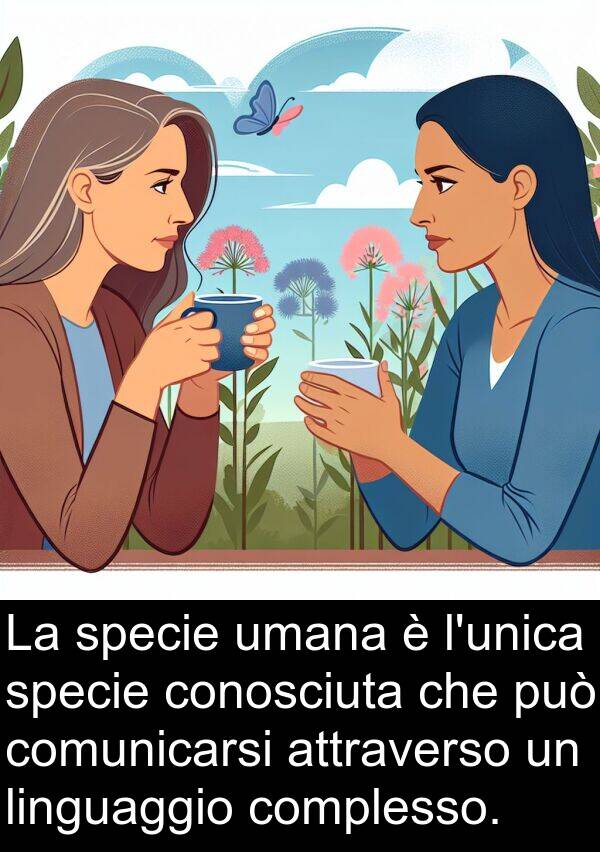 umana: La specie umana è l'unica specie conosciuta che può comunicarsi attraverso un linguaggio complesso.