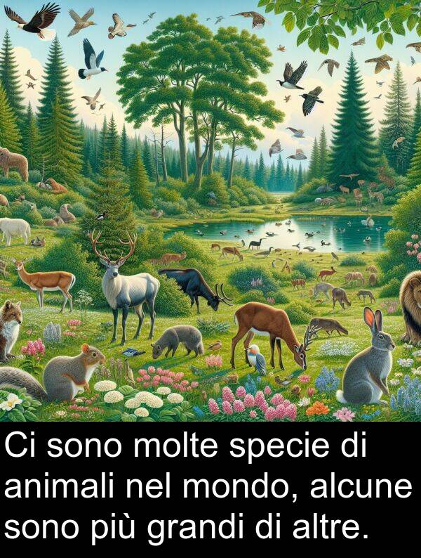 animali: Ci sono molte specie di animali nel mondo, alcune sono più grandi di altre.