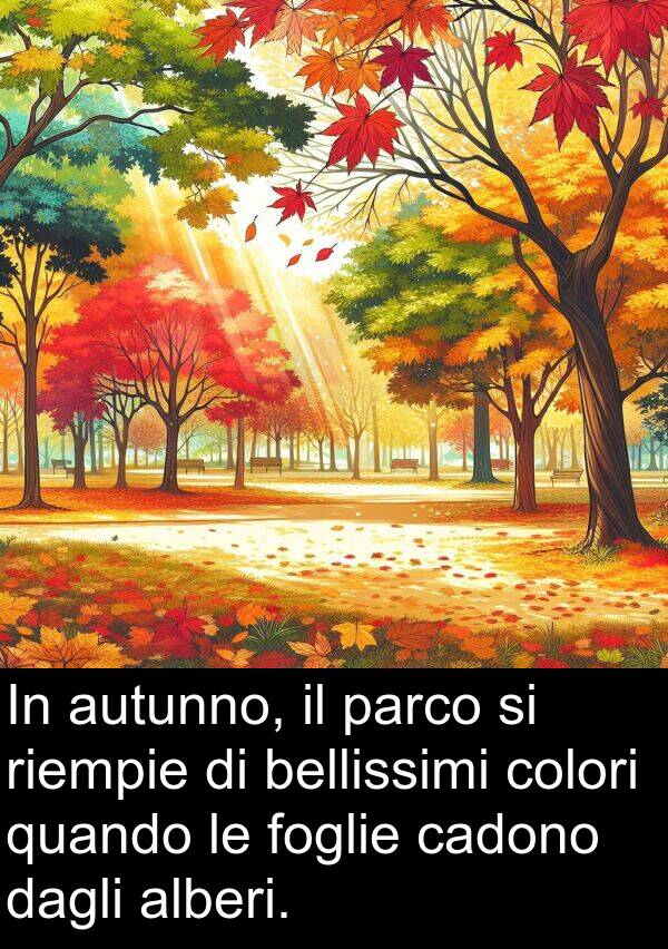 cadono: In autunno, il parco si riempie di bellissimi colori quando le foglie cadono dagli alberi.