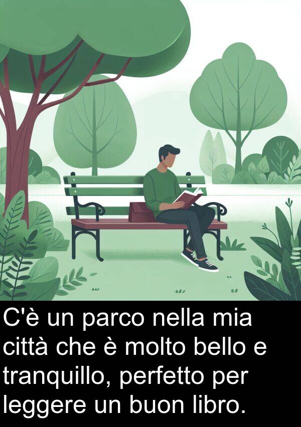 leggere: C'è un parco nella mia città che è molto bello e tranquillo, perfetto per leggere un buon libro.