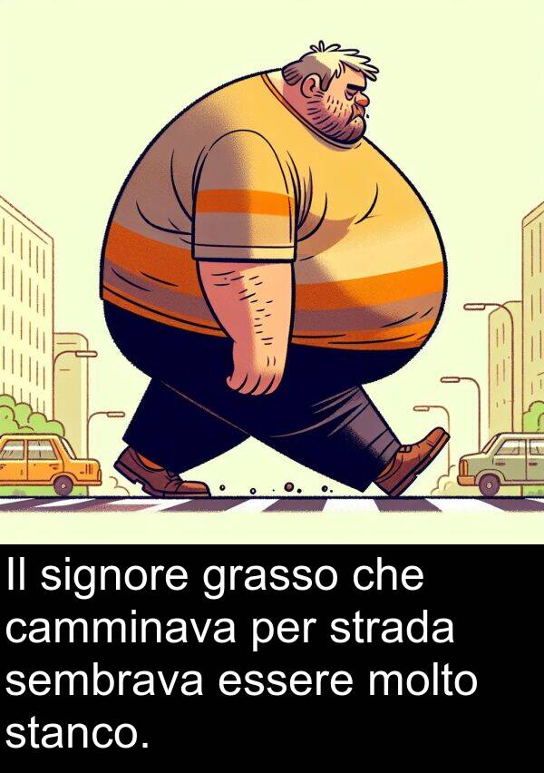 camminava: Il signore grasso che camminava per strada sembrava essere molto stanco.