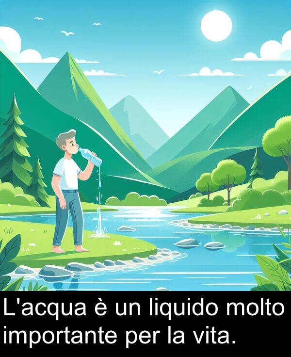 importante: L'acqua è un liquido molto importante per la vita.