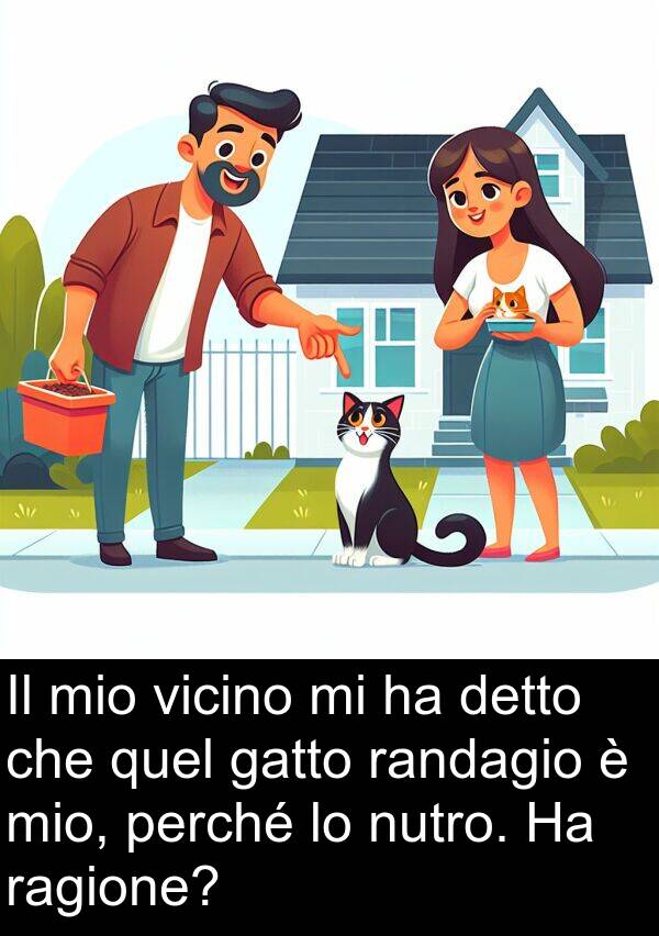 ragione: Il mio vicino mi ha detto che quel gatto randagio è mio, perché lo nutro. Ha ragione?