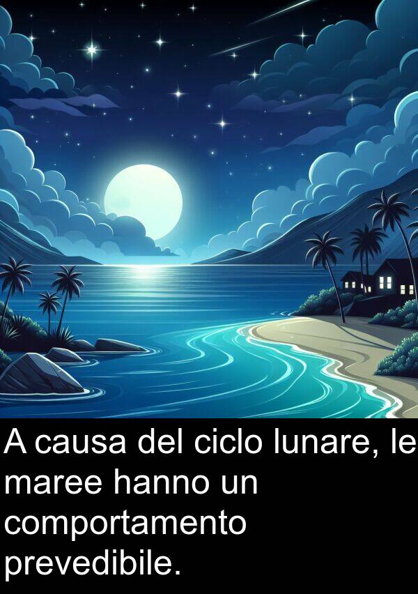 maree: A causa del ciclo lunare, le maree hanno un comportamento prevedibile.