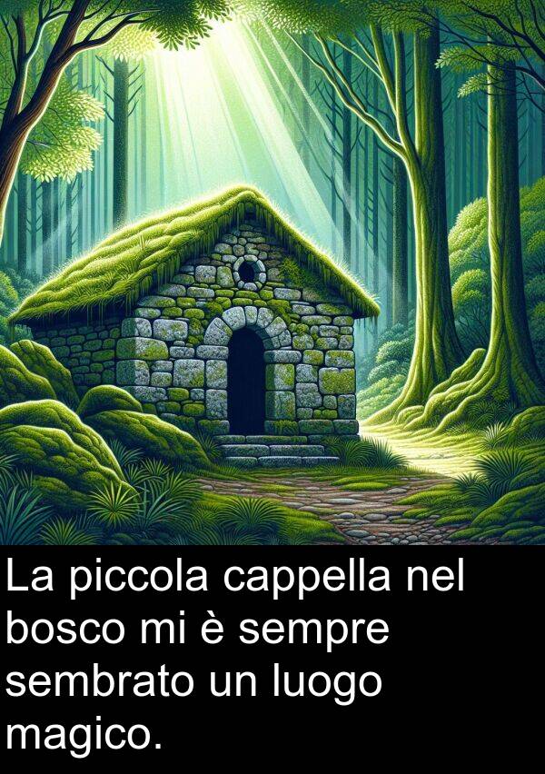 cappella: La piccola cappella nel bosco mi è sempre sembrato un luogo magico.