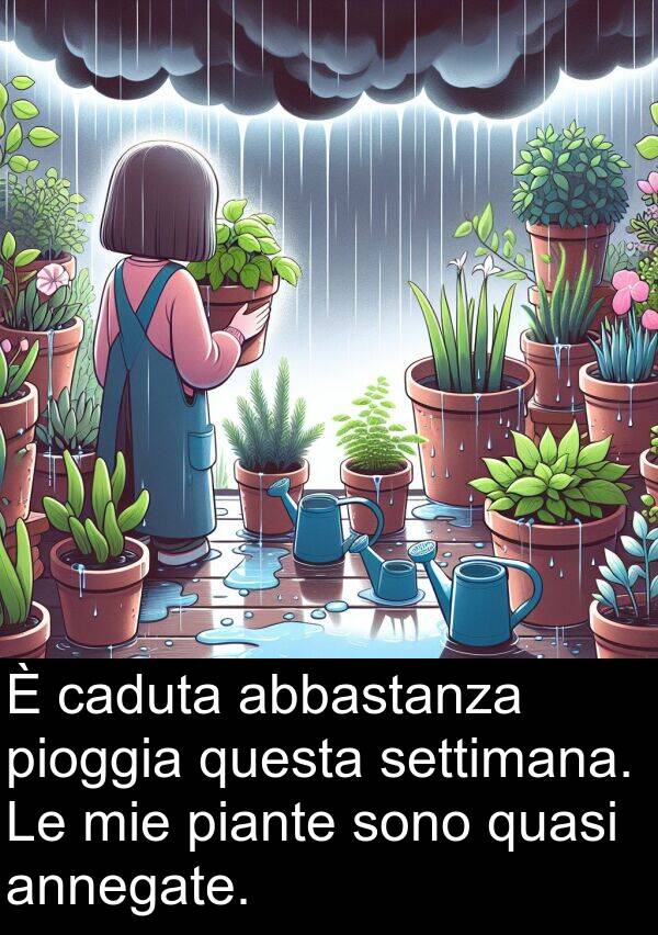 abbastanza: È caduta abbastanza pioggia questa settimana. Le mie piante sono quasi annegate.