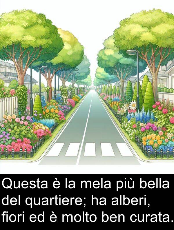 ben: Questa è la mela più bella del quartiere; ha alberi, fiori ed è molto ben curata.