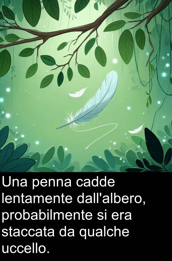 cadde: Una penna cadde lentamente dall'albero, probabilmente si era staccata da qualche uccello.