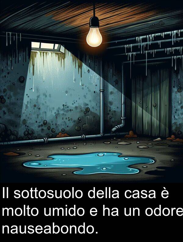 umido: Il sottosuolo della casa è molto umido e ha un odore nauseabondo.