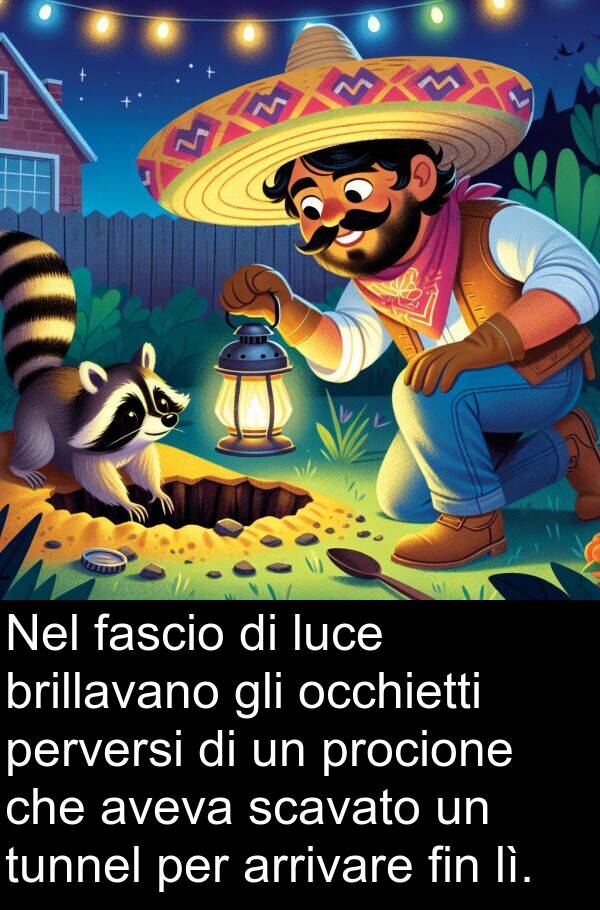 fascio: Nel fascio di luce brillavano gli occhietti perversi di un procione che aveva scavato un tunnel per arrivare fin lì.