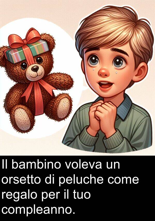 come: Il bambino voleva un orsetto di peluche come regalo per il tuo compleanno.