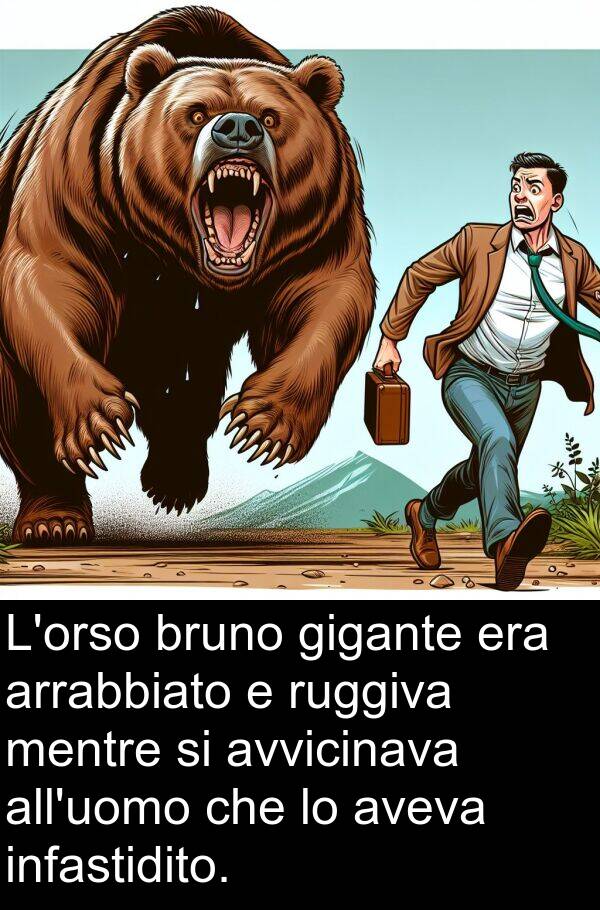 ruggiva: L'orso bruno gigante era arrabbiato e ruggiva mentre si avvicinava all'uomo che lo aveva infastidito.