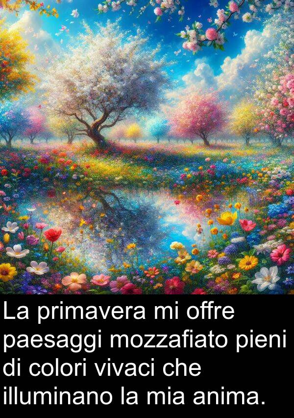 paesaggi: La primavera mi offre paesaggi mozzafiato pieni di colori vivaci che illuminano la mia anima.