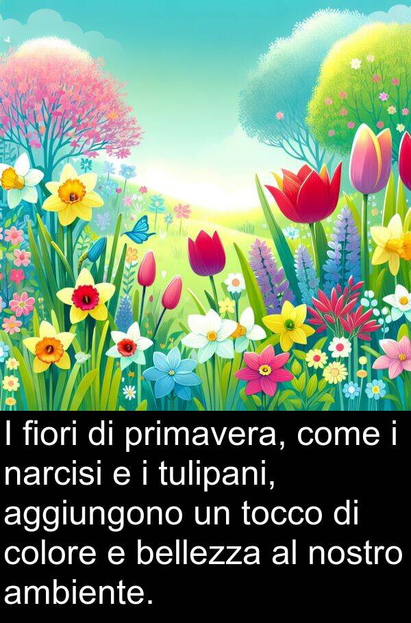 nostro: I fiori di primavera, come i narcisi e i tulipani, aggiungono un tocco di colore e bellezza al nostro ambiente.