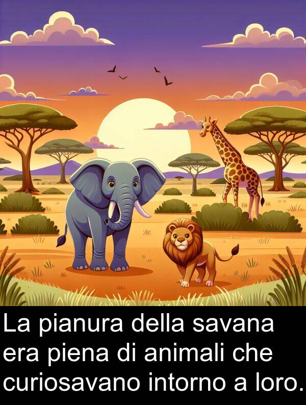 intorno: La pianura della savana era piena di animali che curiosavano intorno a loro.