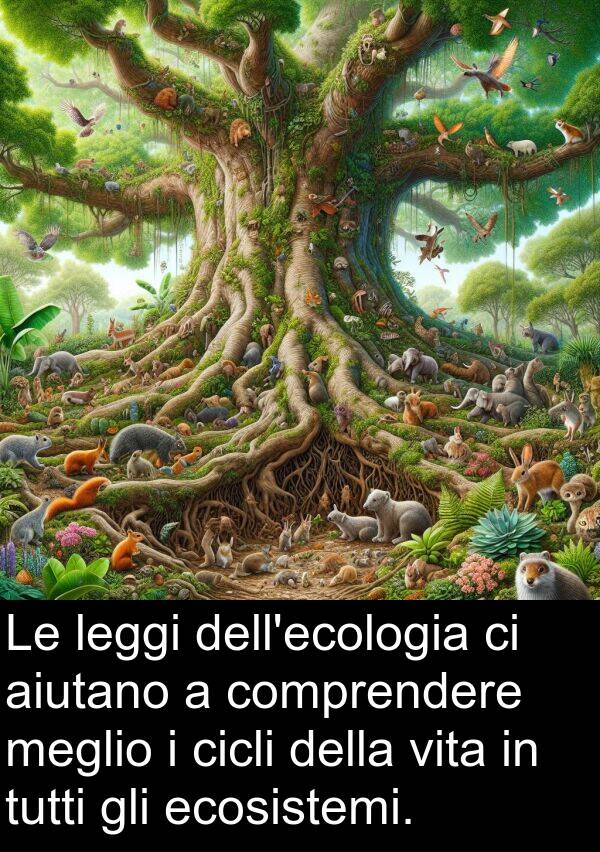 leggi: Le leggi dell'ecologia ci aiutano a comprendere meglio i cicli della vita in tutti gli ecosistemi.