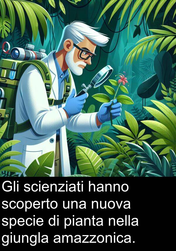 giungla: Gli scienziati hanno scoperto una nuova specie di pianta nella giungla amazzonica.