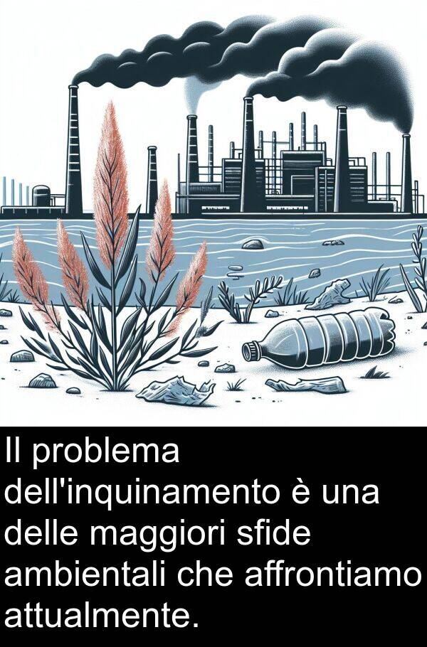 maggiori: Il problema dell'inquinamento è una delle maggiori sfide ambientali che affrontiamo attualmente.