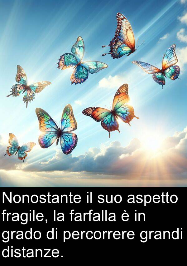 farfalla: Nonostante il suo aspetto fragile, la farfalla è in grado di percorrere grandi distanze.