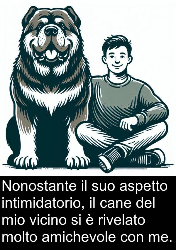 cane: Nonostante il suo aspetto intimidatorio, il cane del mio vicino si è rivelato molto amichevole con me.