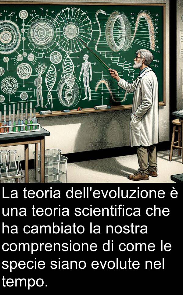 teoria: La teoria dell'evoluzione è una teoria scientifica che ha cambiato la nostra comprensione di come le specie siano evolute nel tempo.