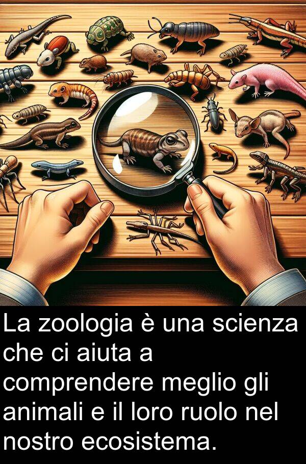 zoologia: La zoologia è una scienza che ci aiuta a comprendere meglio gli animali e il loro ruolo nel nostro ecosistema.