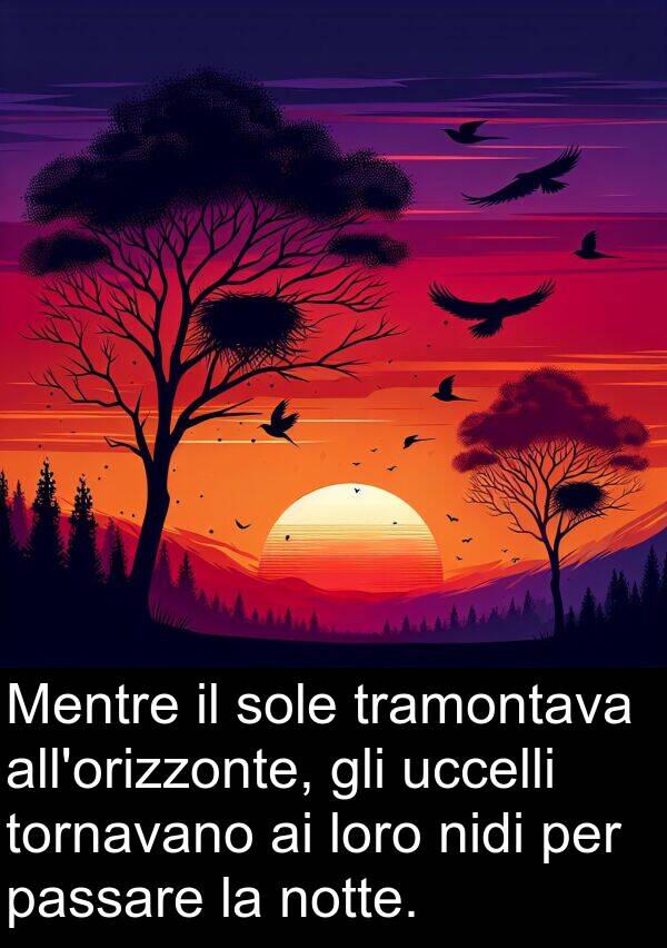 uccelli: Mentre il sole tramontava all'orizzonte, gli uccelli tornavano ai loro nidi per passare la notte.