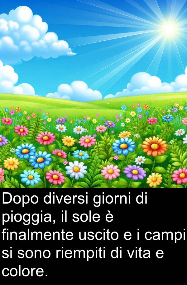 uscito: Dopo diversi giorni di pioggia, il sole è finalmente uscito e i campi si sono riempiti di vita e colore.