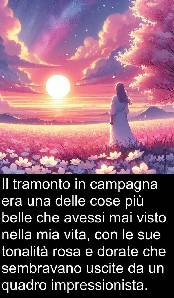 campagna: Il tramonto in campagna era una delle cose più belle che avessi mai visto nella mia vita, con le sue tonalità rosa e dorate che sembravano uscite da un quadro impressionista.