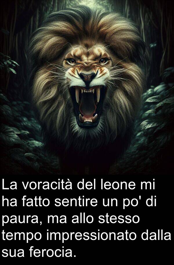 impressionato: La voracità del leone mi ha fatto sentire un po' di paura, ma allo stesso tempo impressionato dalla sua ferocia.