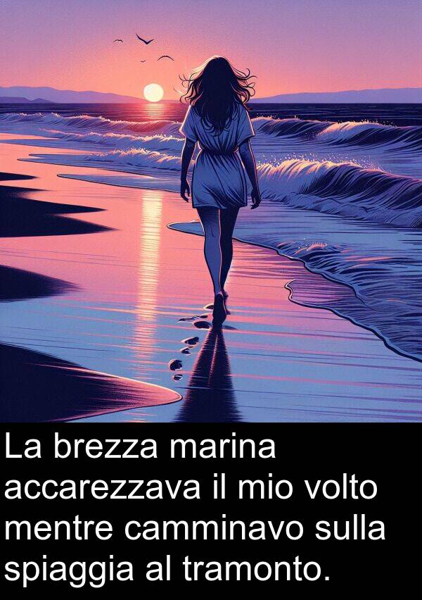 accarezzava: La brezza marina accarezzava il mio volto mentre camminavo sulla spiaggia al tramonto.