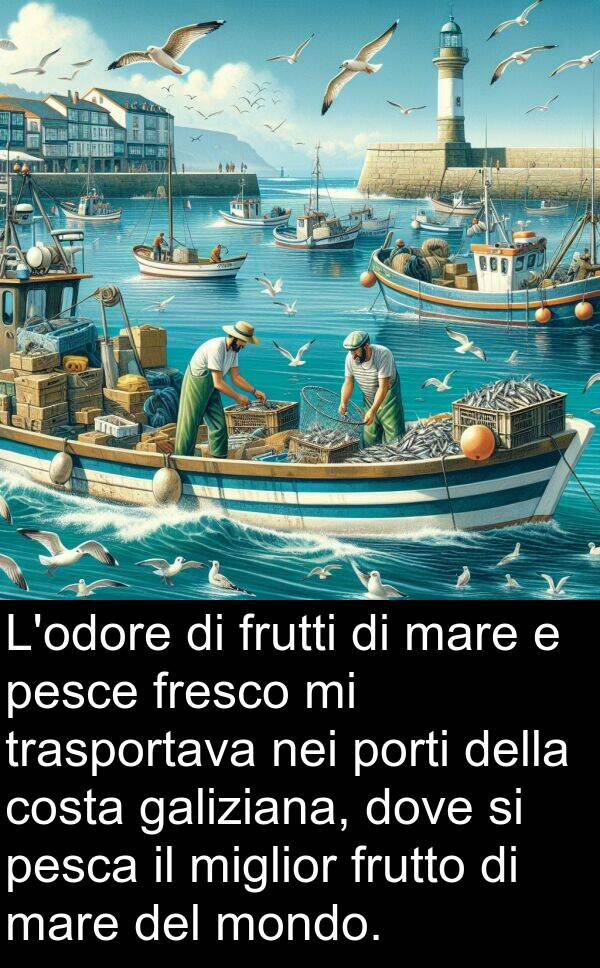 mare: L'odore di frutti di mare e pesce fresco mi trasportava nei porti della costa galiziana, dove si pesca il miglior frutto di mare del mondo.