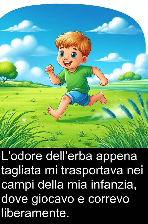 tagliata: L'odore dell'erba appena tagliata mi trasportava nei campi della mia infanzia, dove giocavo e correvo liberamente.