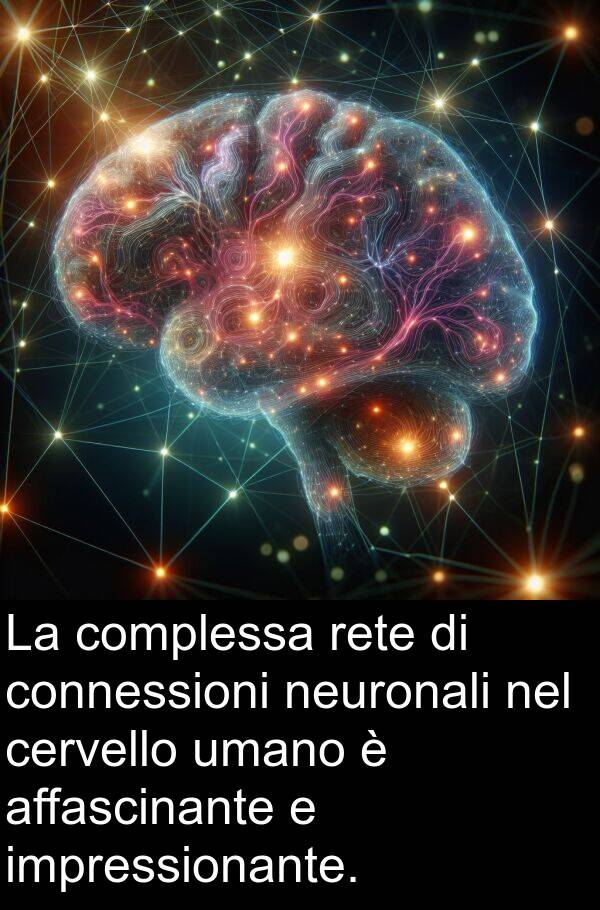 impressionante: La complessa rete di connessioni neuronali nel cervello umano è affascinante e impressionante.