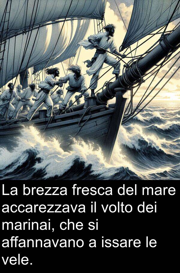 accarezzava: La brezza fresca del mare accarezzava il volto dei marinai, che si affannavano a issare le vele.