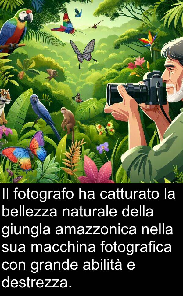 abilità: Il fotografo ha catturato la bellezza naturale della giungla amazzonica nella sua macchina fotografica con grande abilità e destrezza.