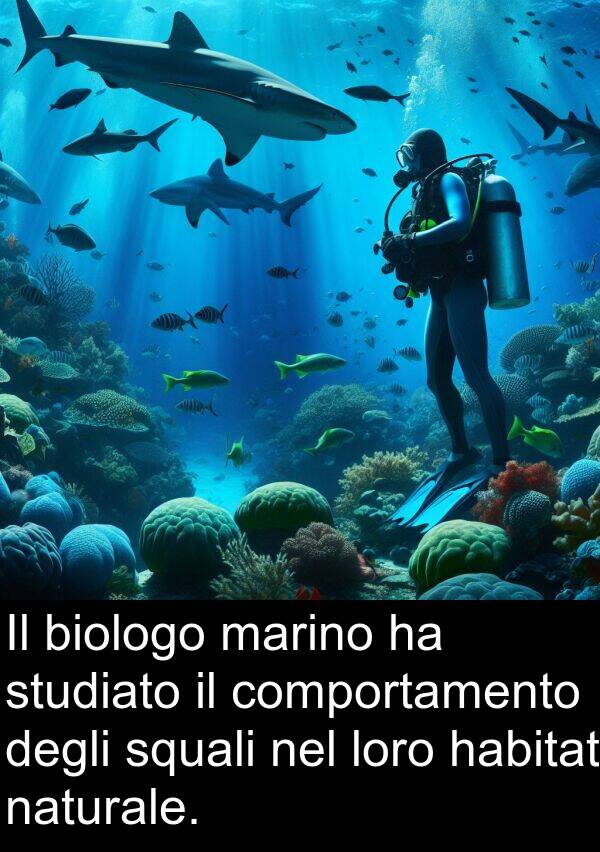 marino: Il biologo marino ha studiato il comportamento degli squali nel loro habitat naturale.