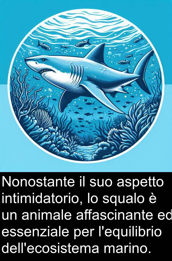 marino: Nonostante il suo aspetto intimidatorio, lo squalo è un animale affascinante ed essenziale per l'equilibrio dell'ecosistema marino.